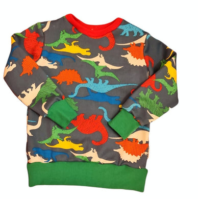 Long Sleeved Supersoft Sweatshirt Jumper - Blue Dinosaur